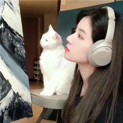 洪拳小子